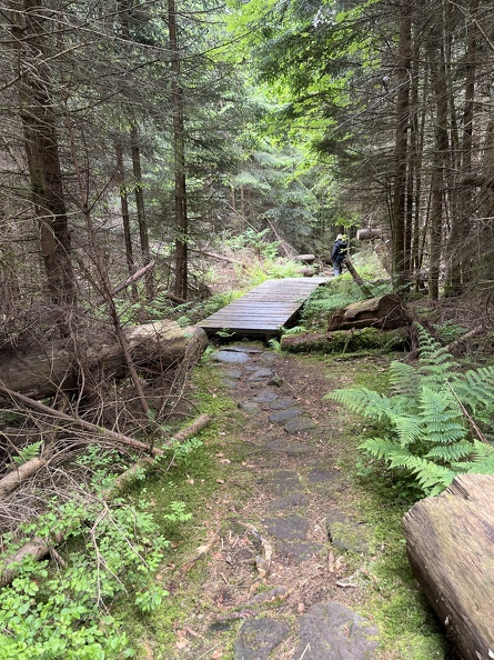 22-05-29 11-40-49 0952.jpg